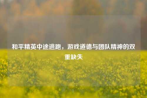和平精英中途逃跑,游戏道德与团队精神的双重缺失