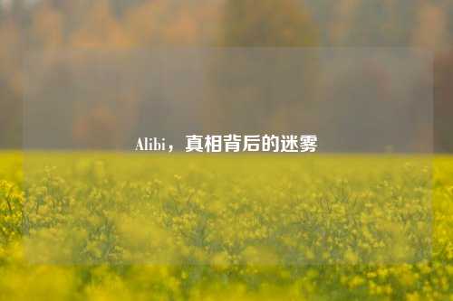 Alibi,真相背后的迷雾