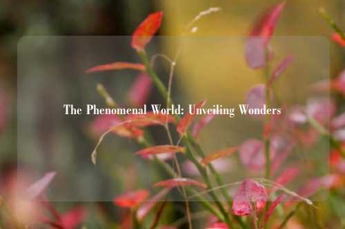The Phenomenal World: Unveiling Wonders