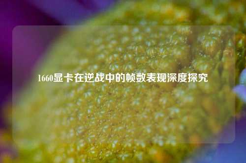 1660显卡在逆战中的帧数表现深度探究