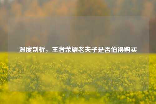 深度剖析，王者荣耀老夫子是否值得购买