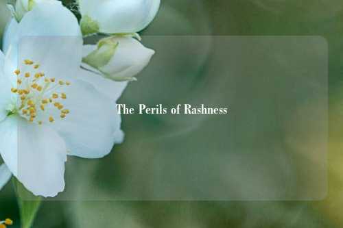 The Perils of Rashness