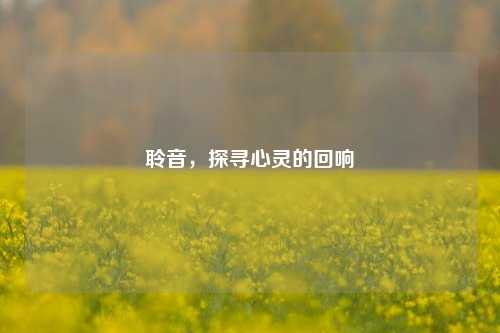 聆音，探寻心灵的回响