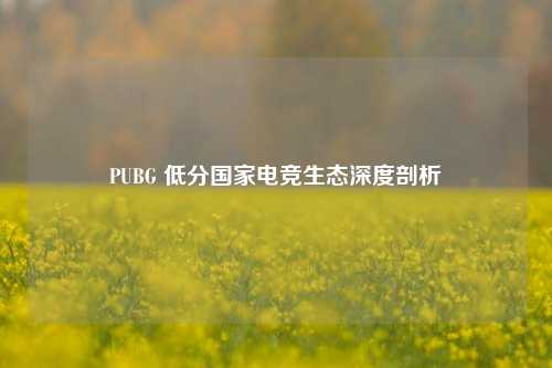 PUBG 低分国家电竞生态深度剖析