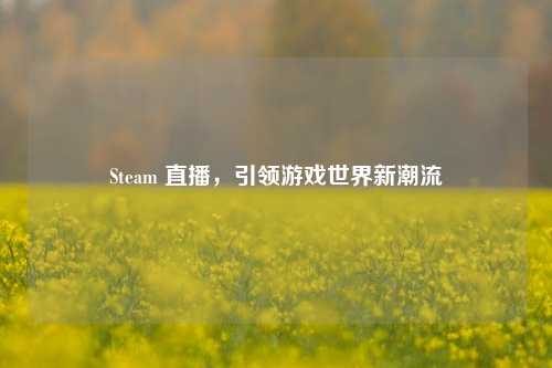 Steam 直播，引领游戏世界新潮流