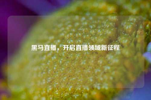 黑马直播,开启直播领域新征程