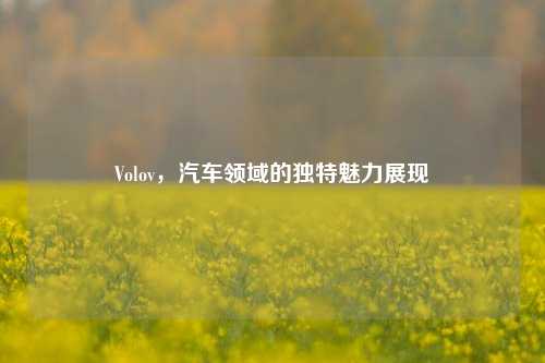 Volov,汽车领域的独特魅力展现