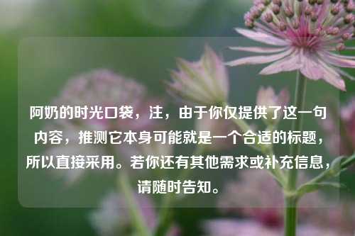 阿奶的时光口袋，注，由于你仅提供了这一句内容，推测它本身可能就是一个合适的标题，所以直接采用。若你还有其他需求或补充信息，请随时告知。