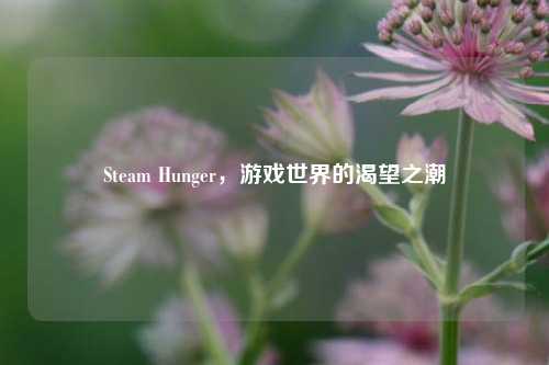 Steam Hunger,游戏世界的渴望之潮