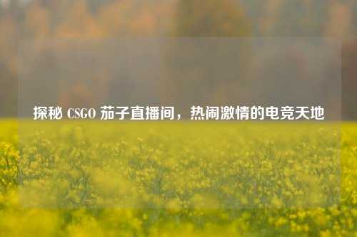 探秘 CSGO 茄子直播间，热闹激情的电竞天地