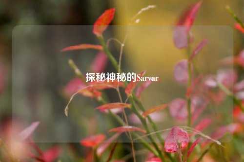 探秘神秘的Sarvar
