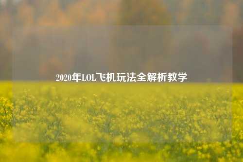 2020年LOL飞机玩法全解析教学