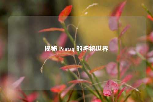 揭秘 Pentaq 的神秘世界