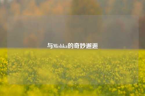 与Mishka的奇妙邂逅