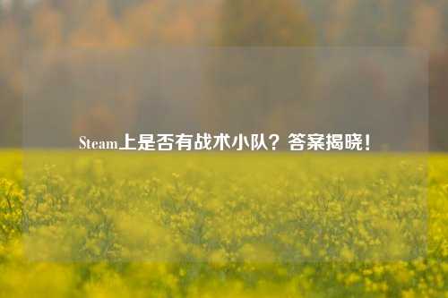 Steam上是否有战术小队？答案揭晓！