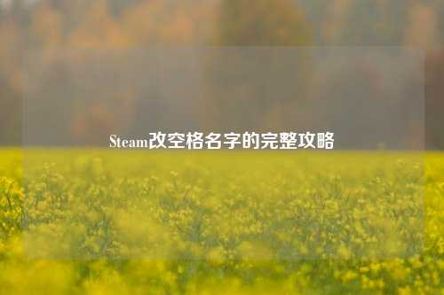 Steam改空格名字的完整攻略
