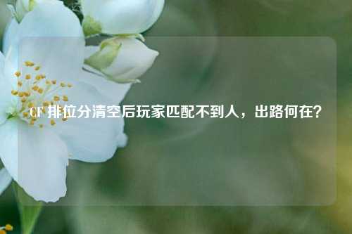 CF 排位分清空后玩家匹配不到人，出路何在？