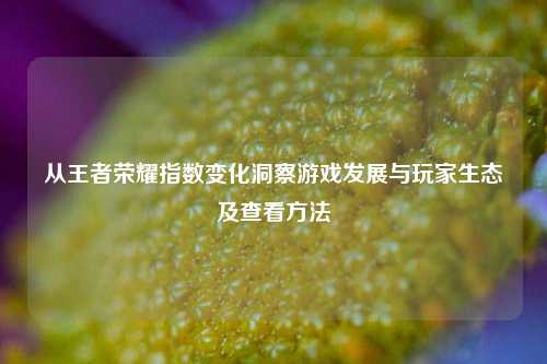 从王者荣耀指数变化洞察游戏发展与玩家生态及查看方法
