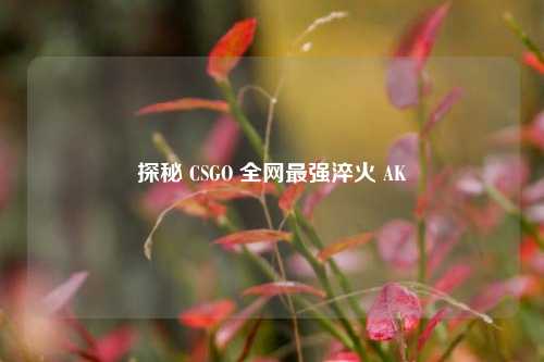 探秘 CSGO 全网最强淬火 AK
