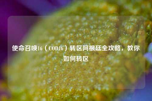 使命召唤16（COD16）转区阿根廷全攻略，教你如何转区