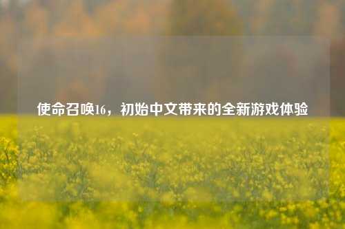 使命召唤16，初始中文带来的全新游戏体验