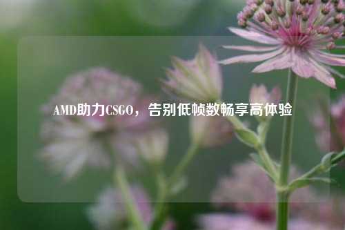 AMD助力CSGO，告别低帧数畅享高体验