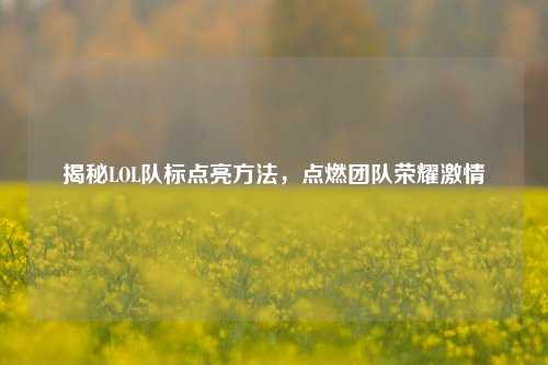 揭秘LOL队标点亮方法，点燃团队荣耀激情