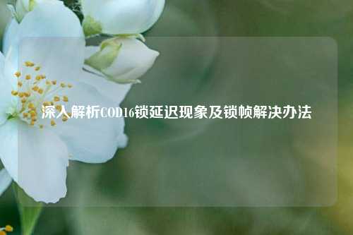深入解析COD16锁延迟现象及锁帧解决办法