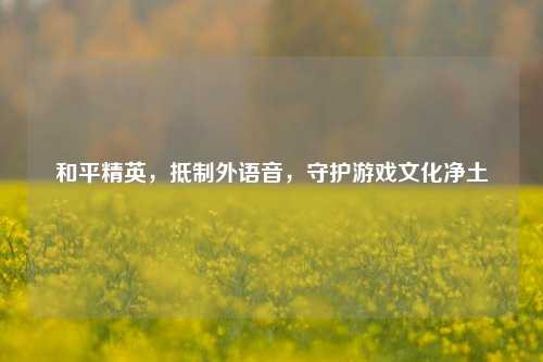 和平精英，抵制外语音，守护游戏文化净土