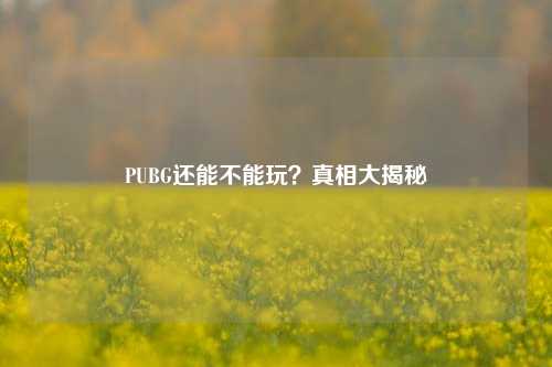 PUBG还能不能玩？真相大揭秘