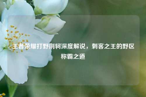 王者荣耀打野荆轲深度解说，刺客之王的野区称霸之道