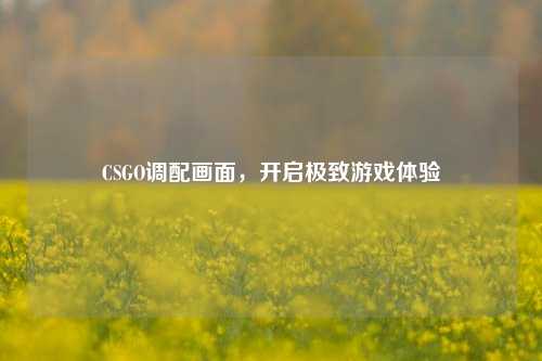 CSGO调配画面，开启极致游戏体验