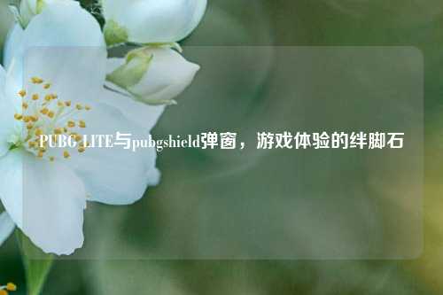 PUBG LITE与pubgshield弹窗，游戏体验的绊脚石