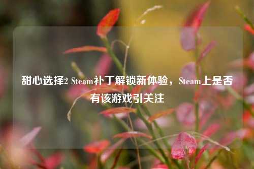 甜心选择2 Steam补丁解锁新体验，Steam上是否有该游戏引关注
