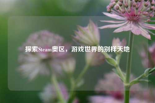 探索Steam奥区，游戏世界的别样天地