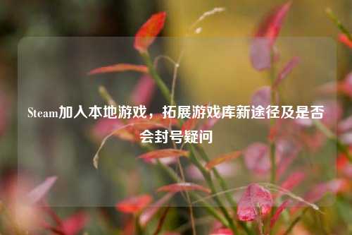 Steam加入本地游戏，拓展游戏库新途径及是否会封号疑问