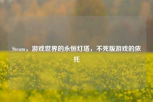 Steam，游戏世界的永恒灯塔，不死版游戏的依托