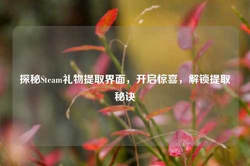 探秘Steam礼物提取界面，开启惊喜，解锁提取秘诀