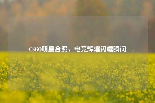 CSGO明星合照，电竞辉煌闪耀瞬间