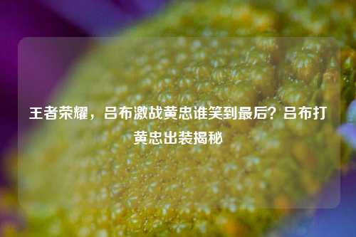 王者荣耀，吕布激战黄忠谁笑到最后？吕布打黄忠出装揭秘