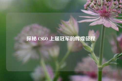 探秘 CSGO 上届冠军的辉煌征程