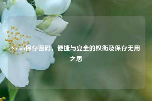 Steam保存密码，便捷与安全的权衡及保存无用之思