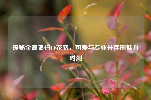探秘金高银拍CF花絮，可爱与专业并存的魅力时刻