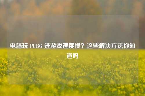 电脑玩 PUBG 进游戏速度慢？这些解决方法你知道吗