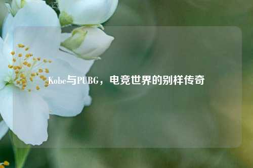 Kobe与PUBG，电竞世界的别样传奇