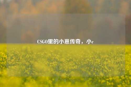 CSGO里的小崽传奇，小r