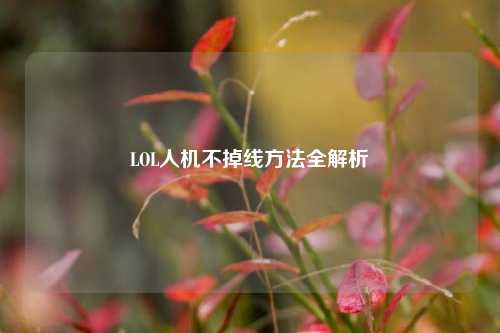 LOL人机不掉线方法全解析