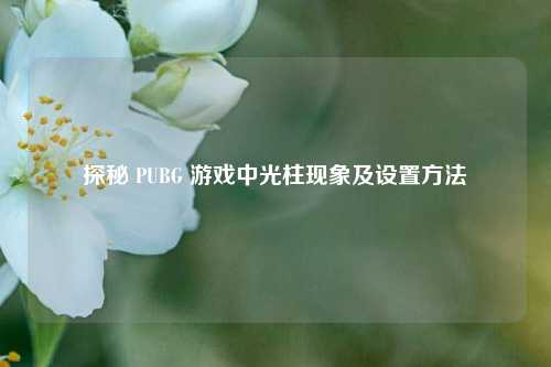 探秘 PUBG 游戏中光柱现象及设置方法