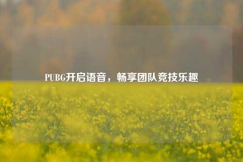 PUBG开启语音，畅享团队竞技乐趣