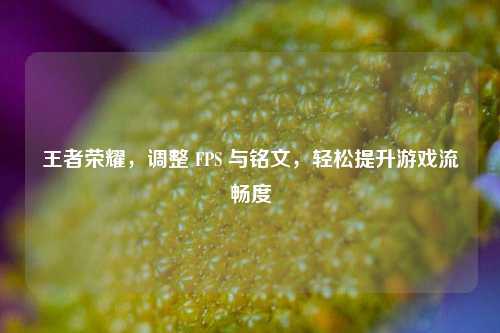 王者荣耀，调整 FPS 与铭文，轻松提升游戏流畅度